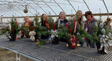 Winter Porch Pot Container Workshop