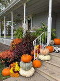 Seasonal Planter Subscription Add-Ons