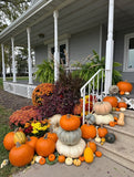 Seasonal Planter Subscription Add-Ons